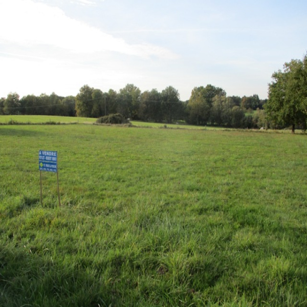 Offres de vente Terrain Sarrazac 24800