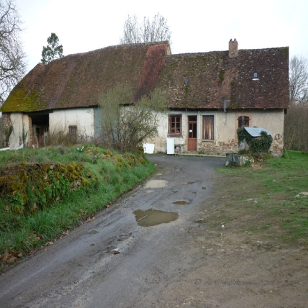 Offres de vente Ferme La Roche-l'Abeille 87800